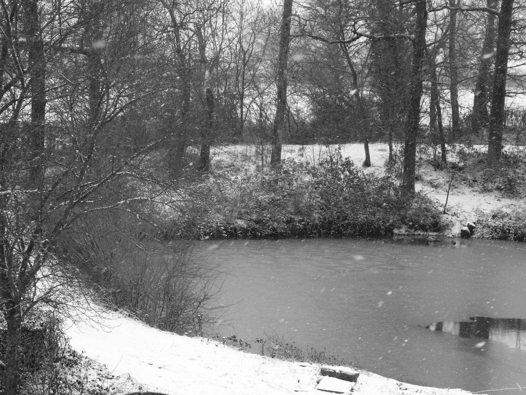 Meubles De Tourisme La Reserve Saint-Pierre-les-Bois Exteriér fotografie